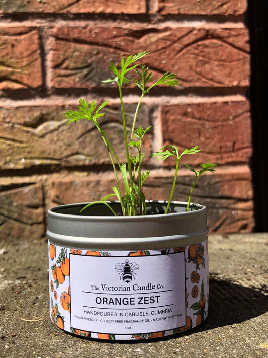 Turn your candle tin into a recycled planter! ♻️🌱