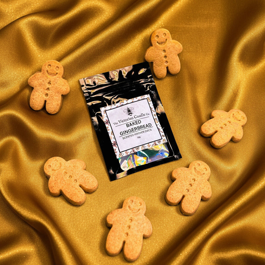 NEW Baked Gingerbread - Scented Hoover Discs - Pack of 3