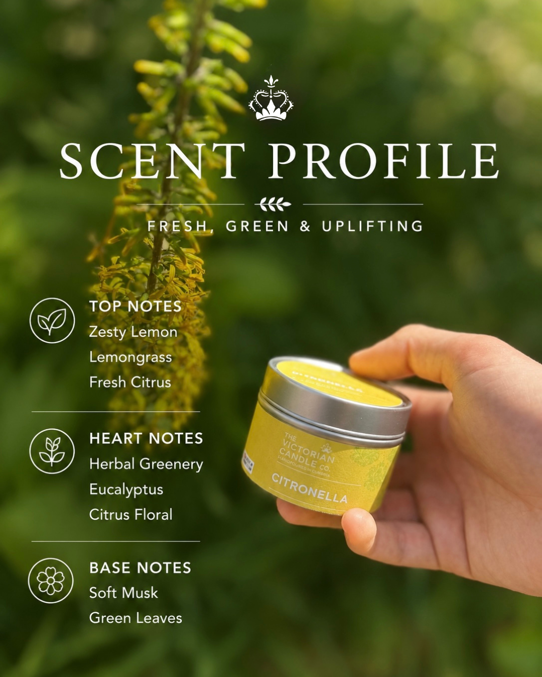 Citronella Scented Soy Candle - 20 Hour Burn