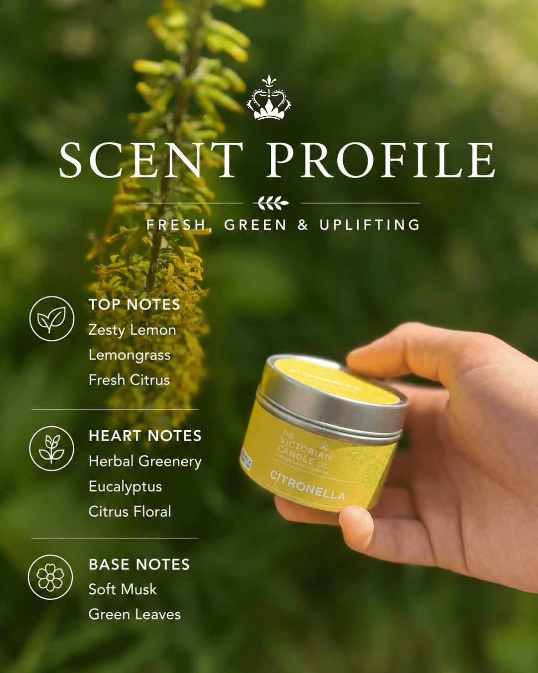 Citronella Scented Soy Candle - 20 Hour Burn