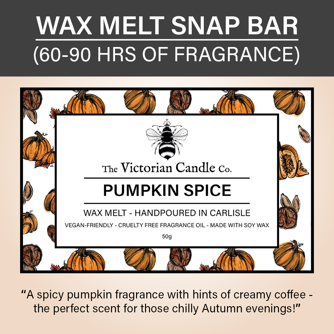 Pumpkin Spice - Wax Melt Snap Bar